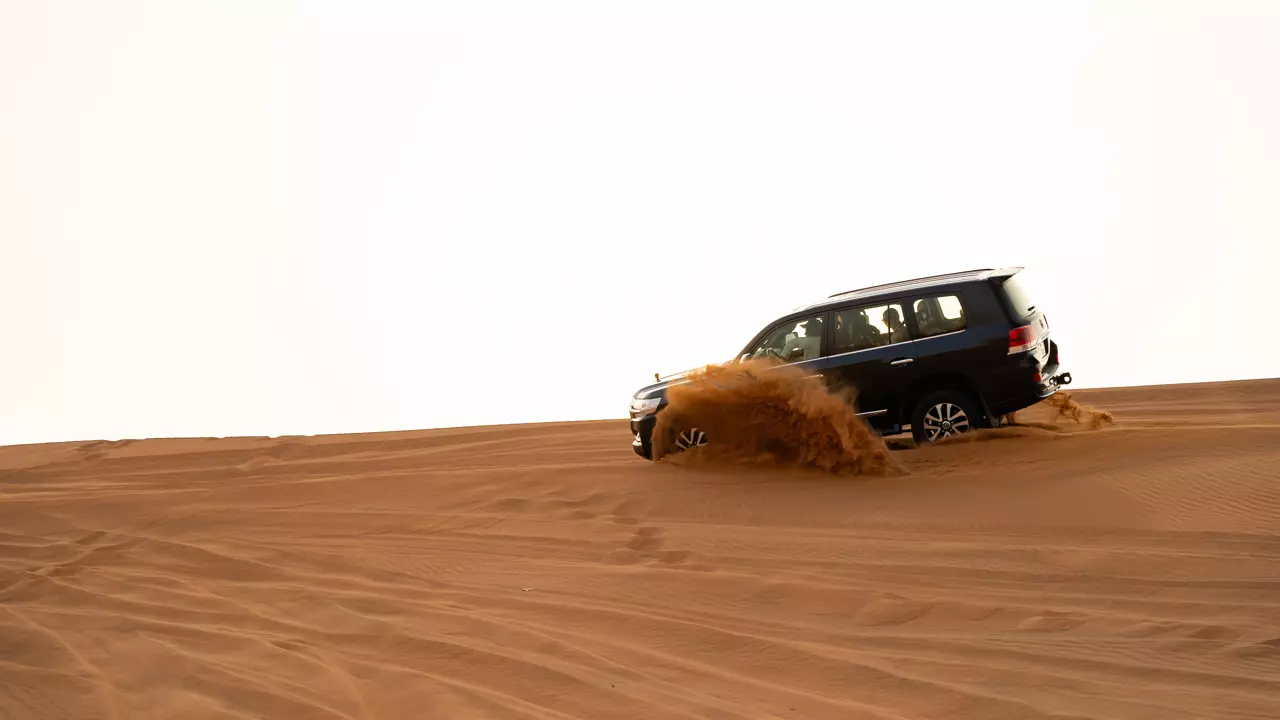 Desert Safari in Ras Al-Khaimah & Fujeirah - Photo 10