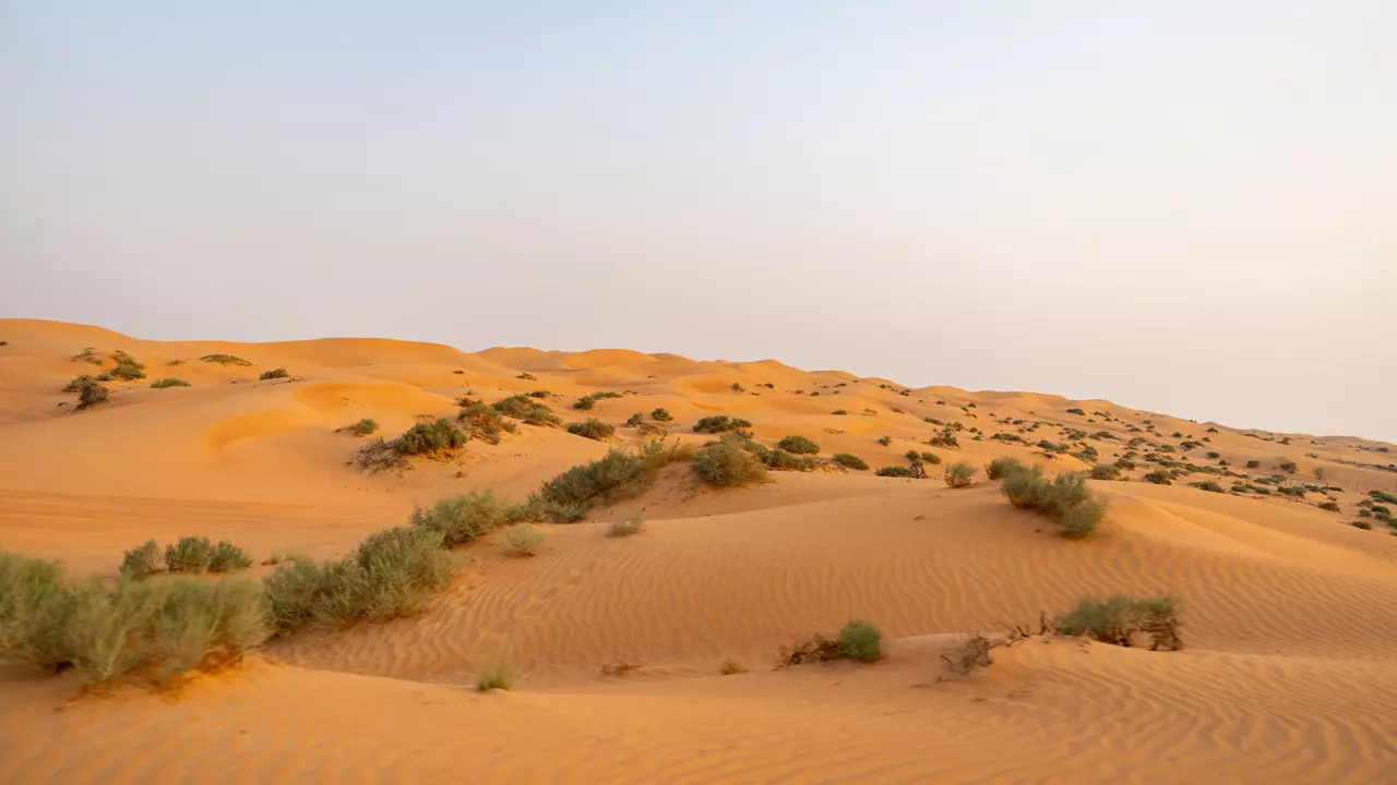 Desert Safari in Ras Al-Khaimah & Fujeirah - Photo 22