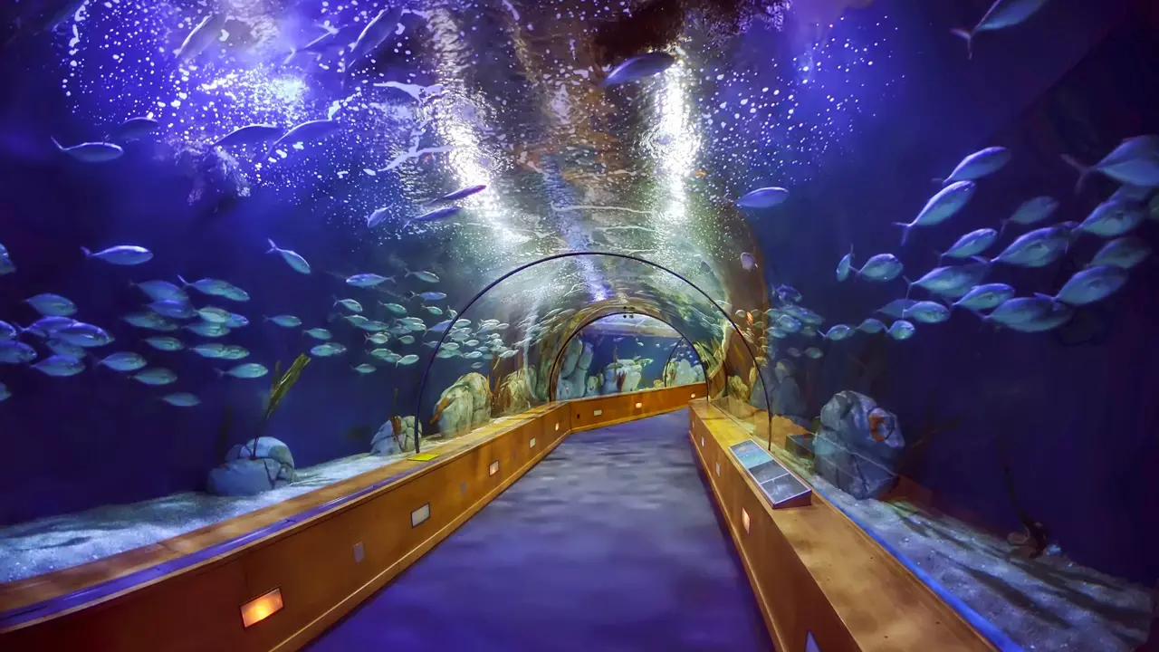 Aquarium and Underwater Zoo at the Dubai Mall - Photo 2