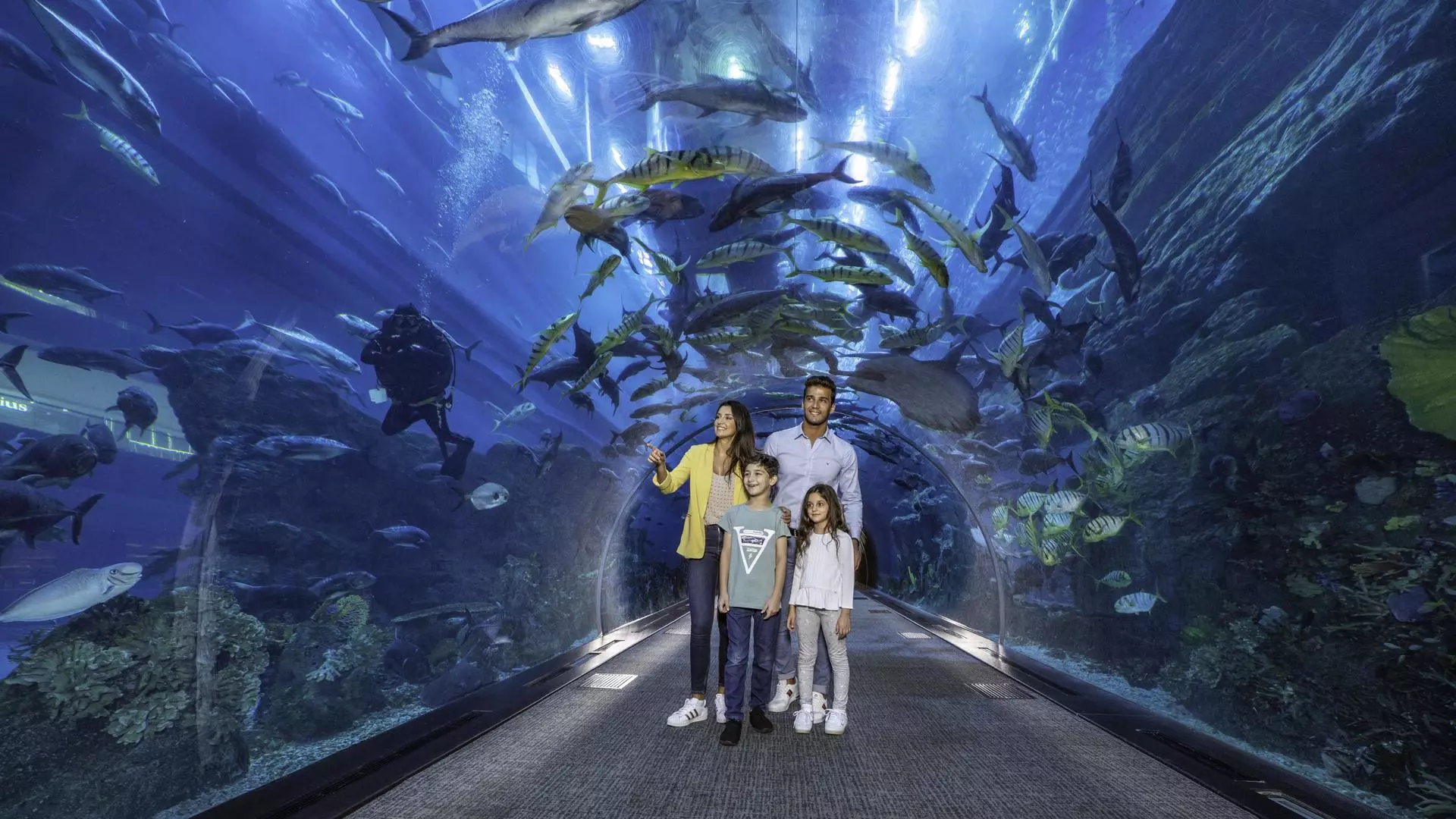 Aquarium and Underwater Zoo at the Dubai Mall - Photo 15
