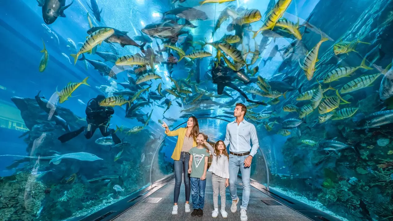 Aquarium and Underwater Zoo at the Dubai Mall - Photo 6