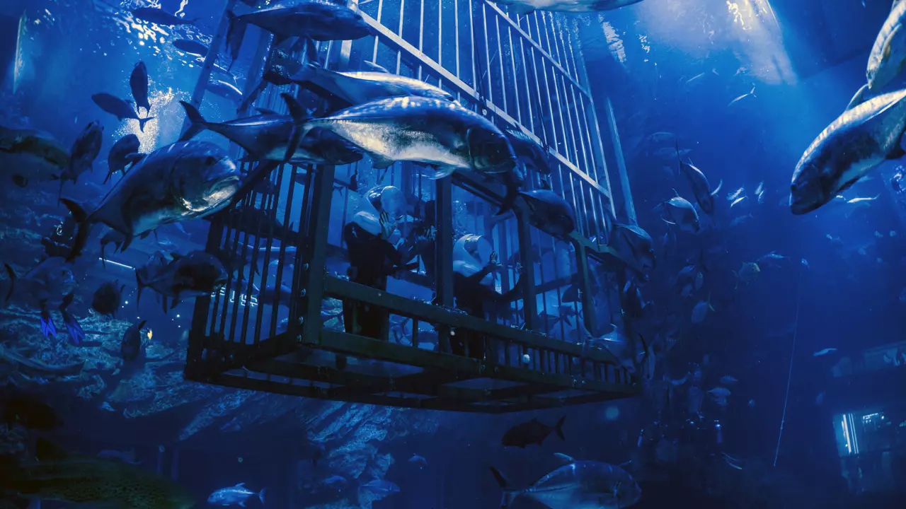 Aquarium and Underwater Zoo at the Dubai Mall - Photo 7