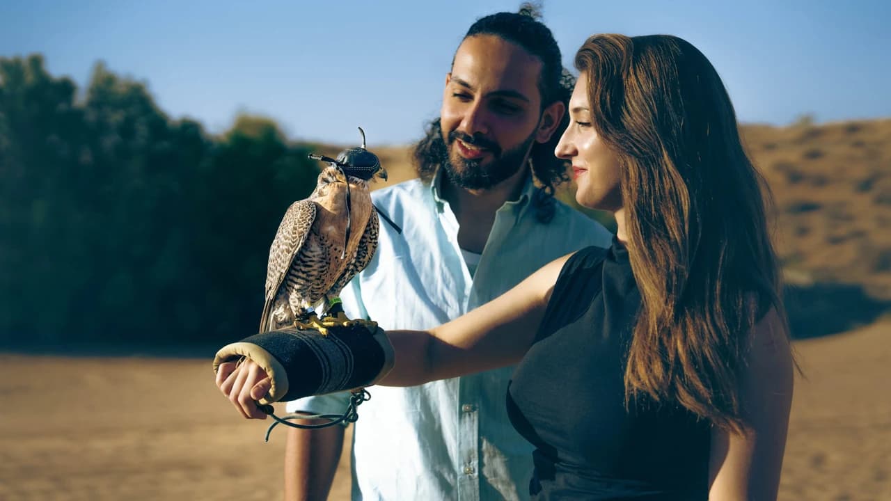 Royal Falconry Training & Nature Safari