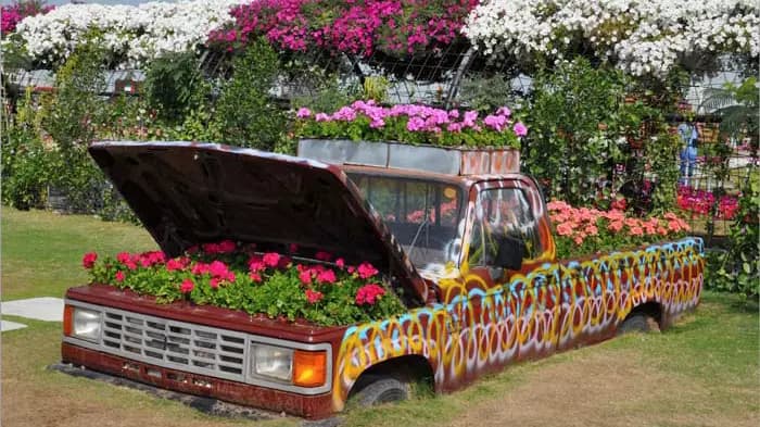 Dubai Miracle Garden - Photo 19