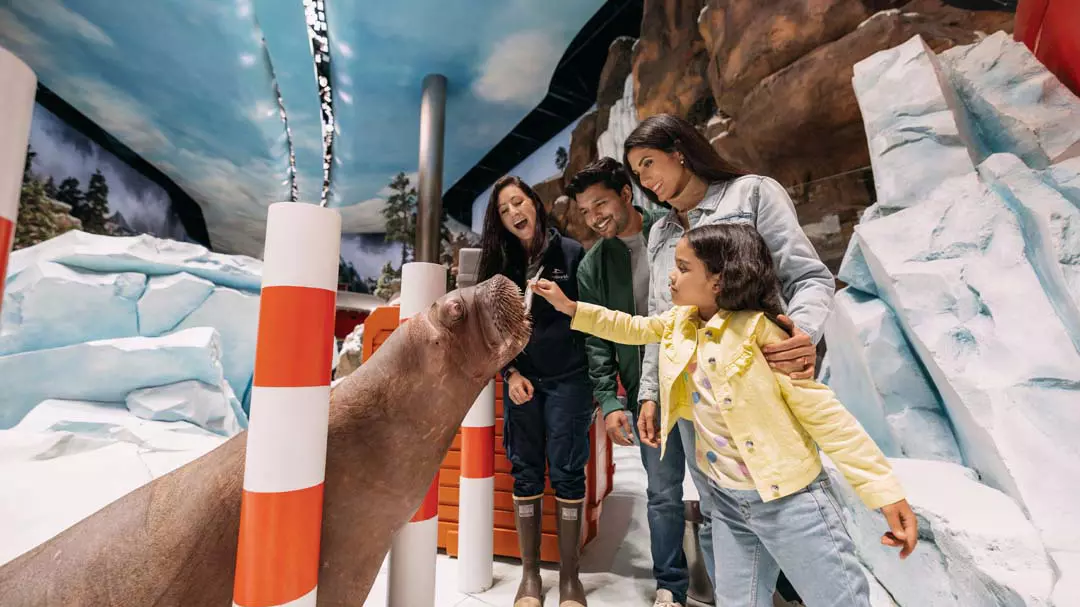 Sea World Abu Dhabi - Photo 7