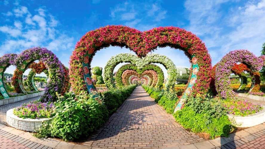 Dubai Miracle Garden - Photo 9