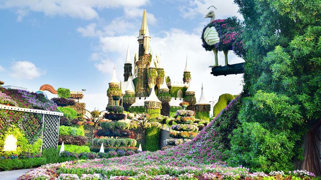 Dubai Miracle Garden - Photo 13