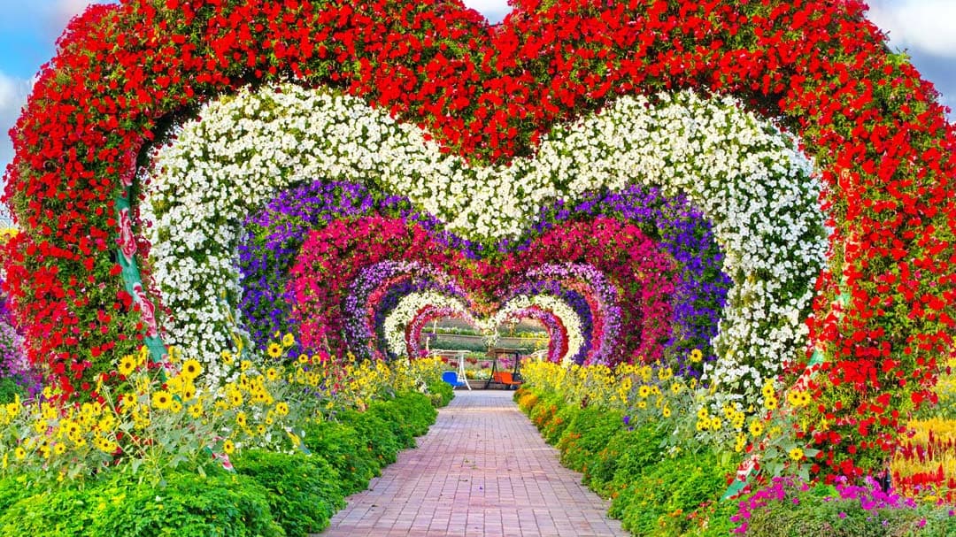 Dubai Miracle Garden - Photo 29