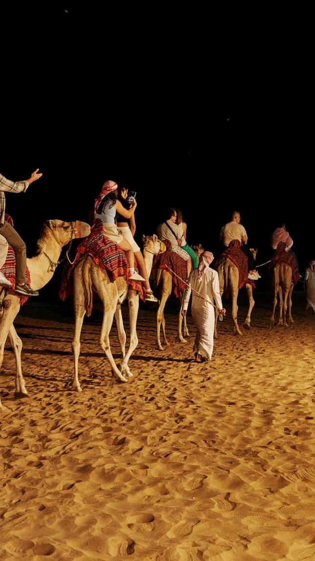 Desert Safari in Dubai + Noble Safari Camp - Photo 62