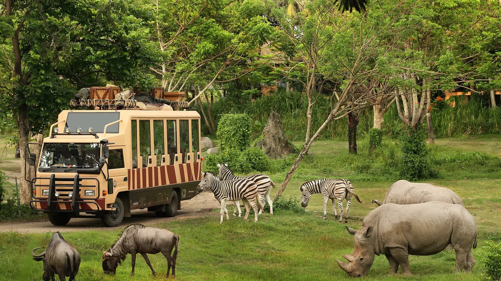 Bali Safari Park Ticket - Photo 13