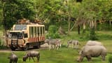 Bali Safari Park Ticket - Photo 12