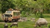 Bali Safari Park Ticket - Photo 11