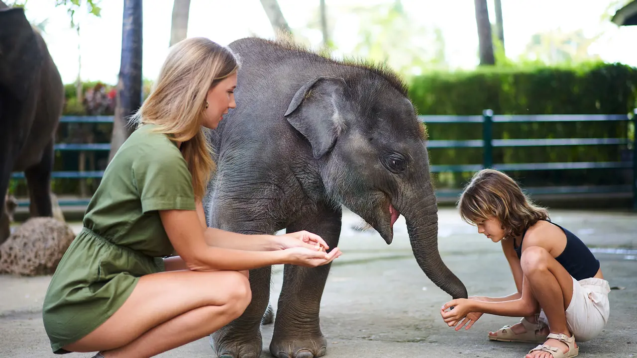 Mason Elephant Park Bali by Mason Adventures (Formerly known as Elephant Safari Park) - Photo 1