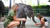 Mason Elephant Park Bali by Mason Adventures (Formerly known as Elephant Safari Park) - Photo 13