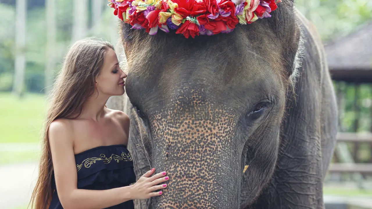 Mason Elephant Park Bali by Mason Adventures (Formerly known as Elephant Safari Park) - Photo 2