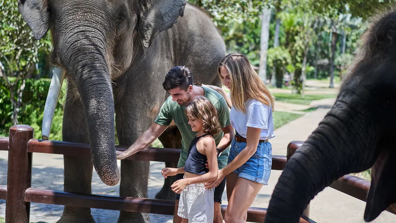 Mason Elephant Park Bali by Mason Adventures (Formerly known as Elephant Safari Park) - Photo 4