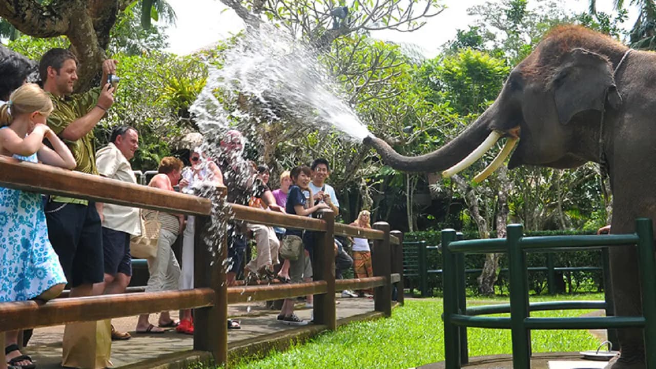 Mason Elephant Park Bali by Mason Adventures (Formerly known as Elephant Safari Park) - Photo 20