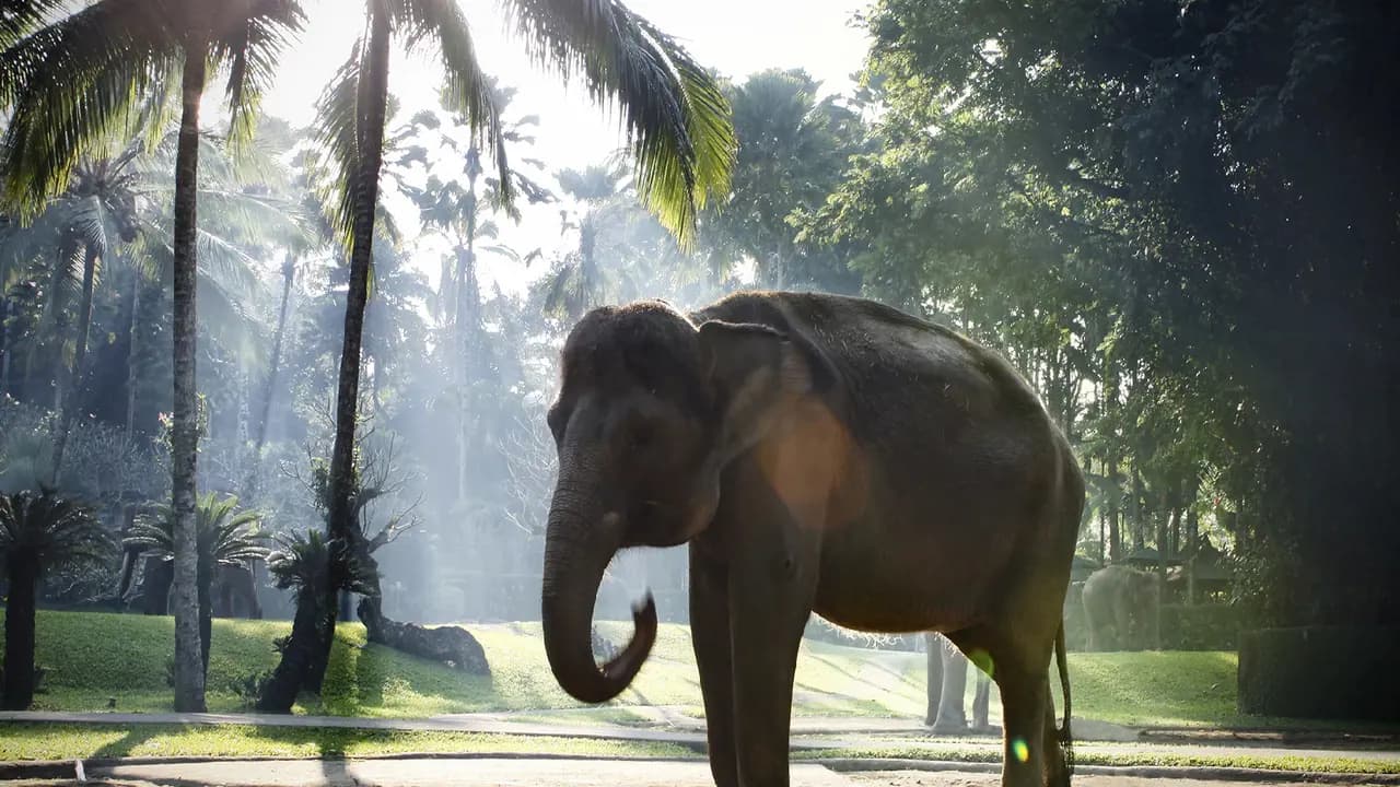 Mason Elephant Park Bali by Mason Adventures (Formerly known as Elephant Safari Park) - Photo 7