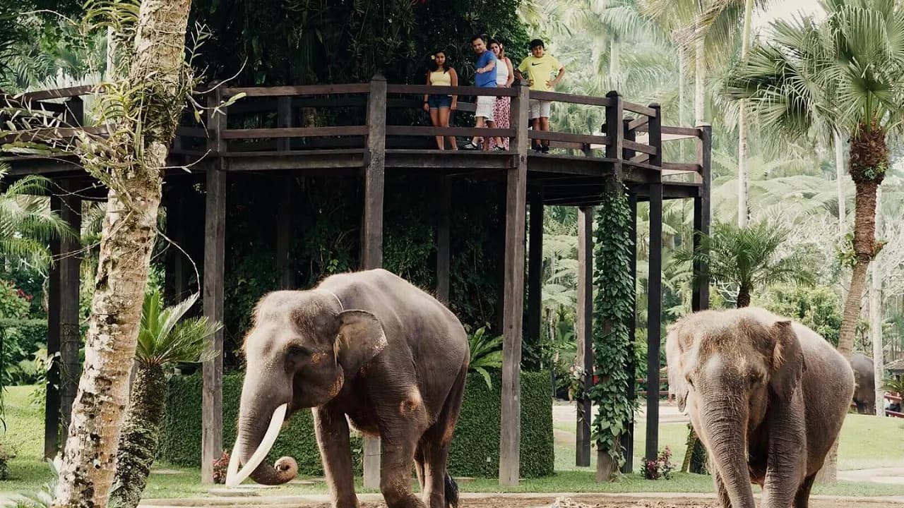 Mason Elephant Park Bali by Mason Adventures (Formerly known as Elephant Safari Park) - Photo 8