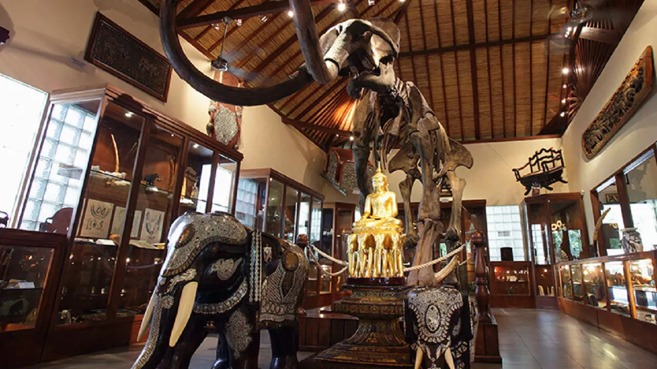 Mason Elephant Park Bali by Mason Adventures (Formerly known as Elephant Safari Park) - Photo 25