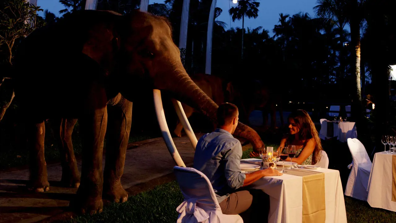 Mason Elephant Park Bali by Mason Adventures (Formerly known as Elephant Safari Park) - Photo 12