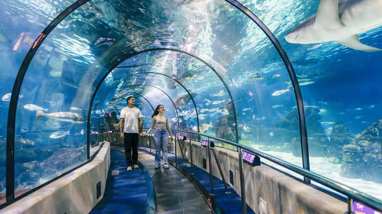 Barcelona Aquarium Ticket - Photo 4