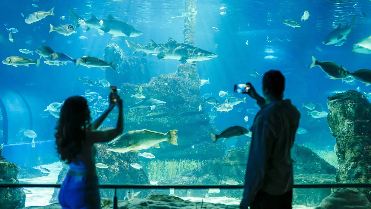 Barcelona Aquarium Ticket - Photo 9