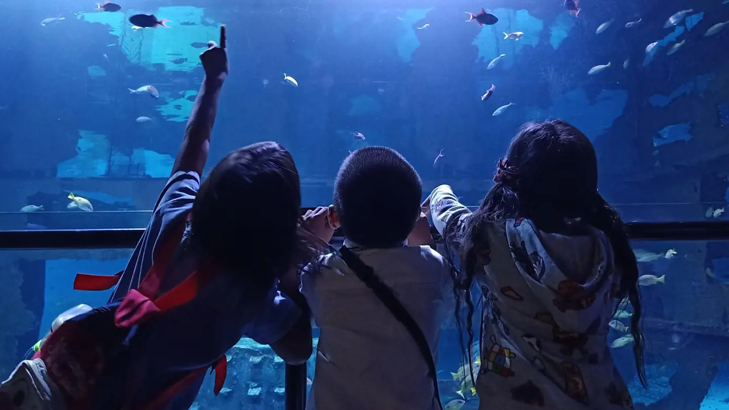 Aquaria Phuket - Photo 36