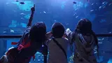 Aquaria Phuket - Photo 34