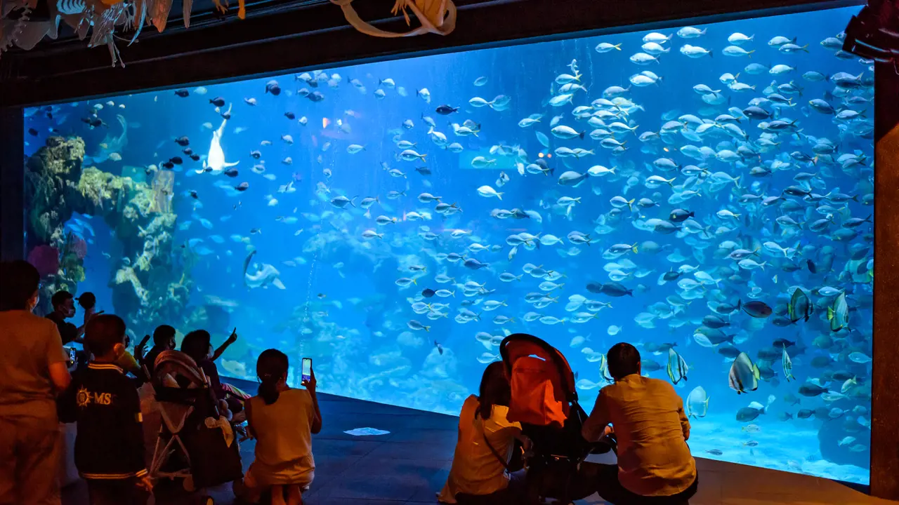 Aquaria Phuket - Photo 3
