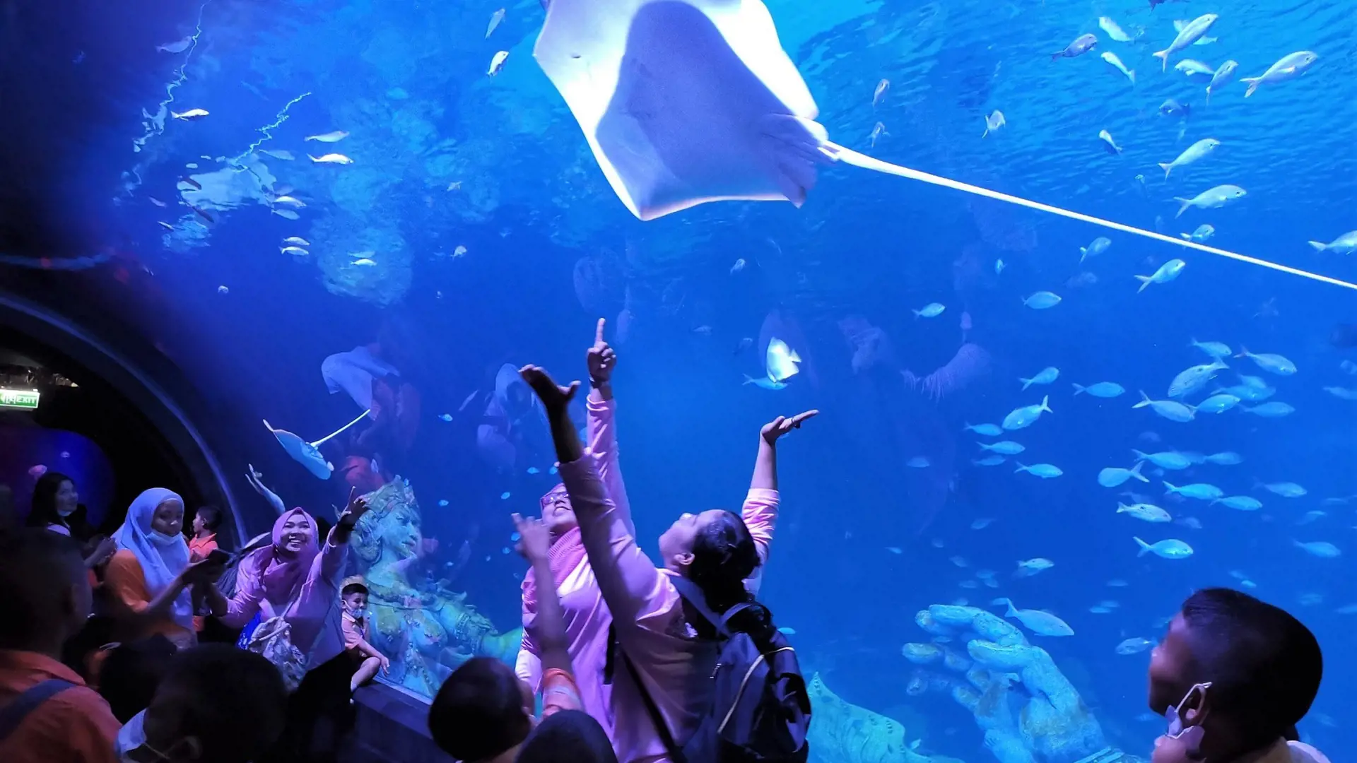 Aquaria Phuket - Photo 40