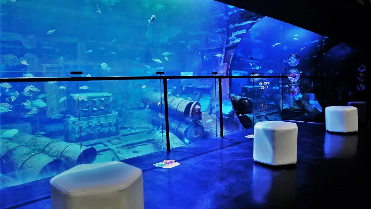 Aquaria Phuket - Photo 6