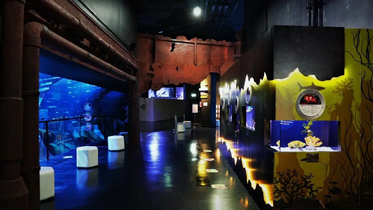 Aquaria Phuket - Photo 8