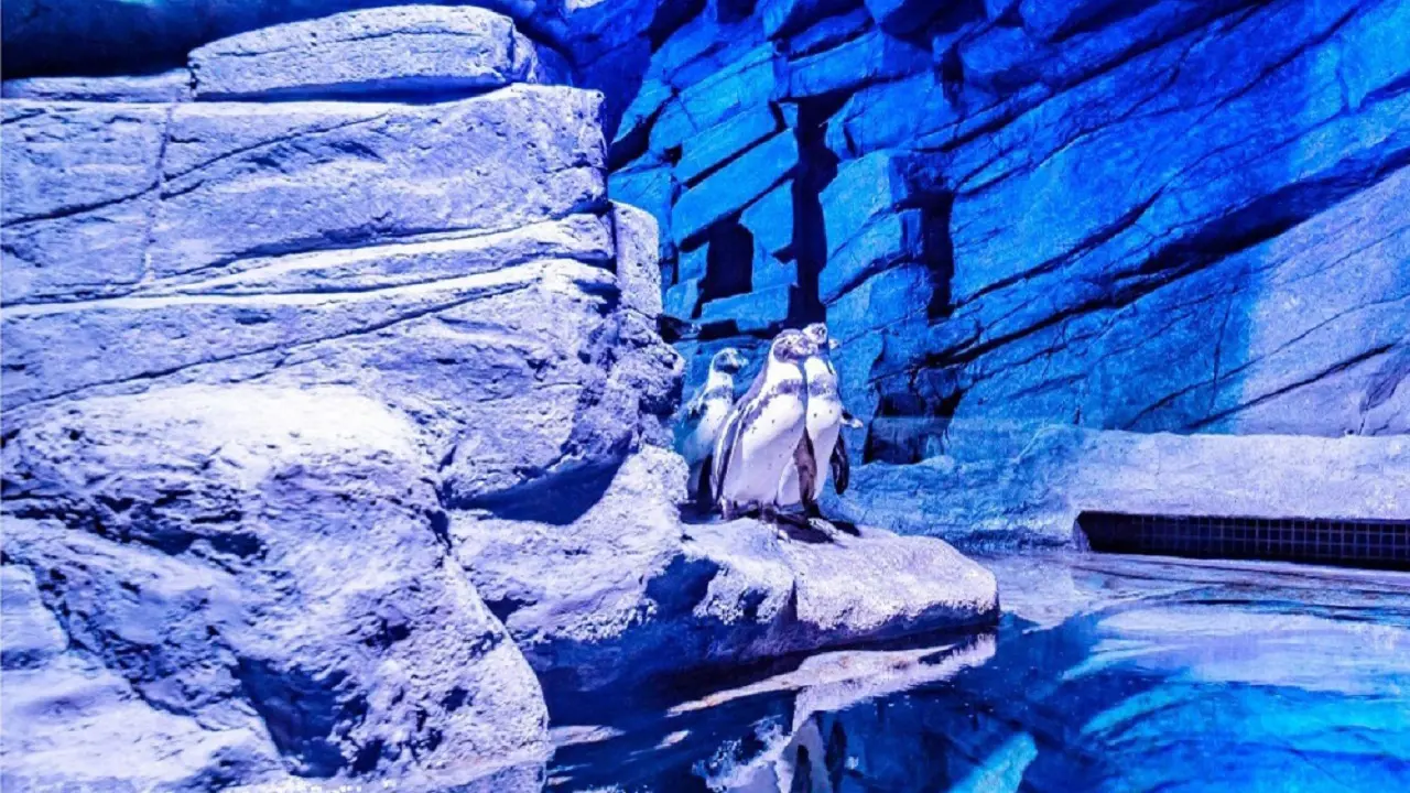 Aquaria Phuket - Photo 9