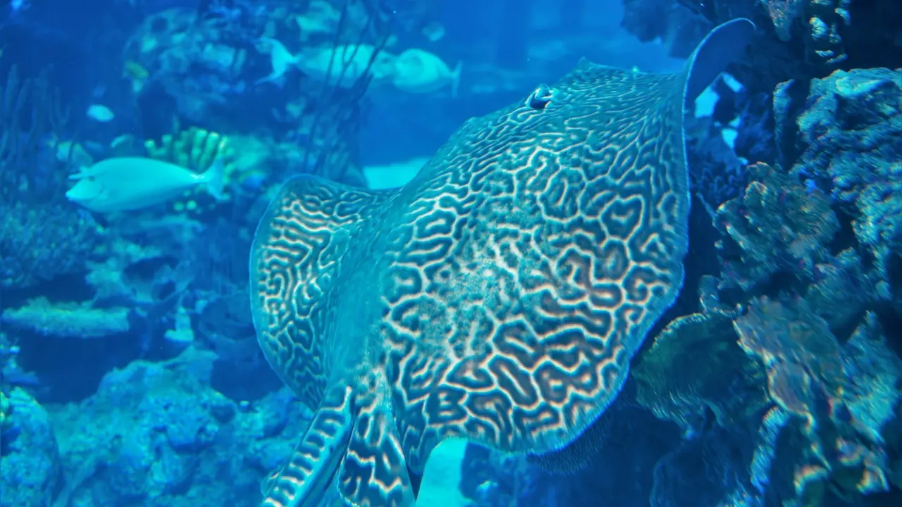 Aquaria Phuket - Photo 20