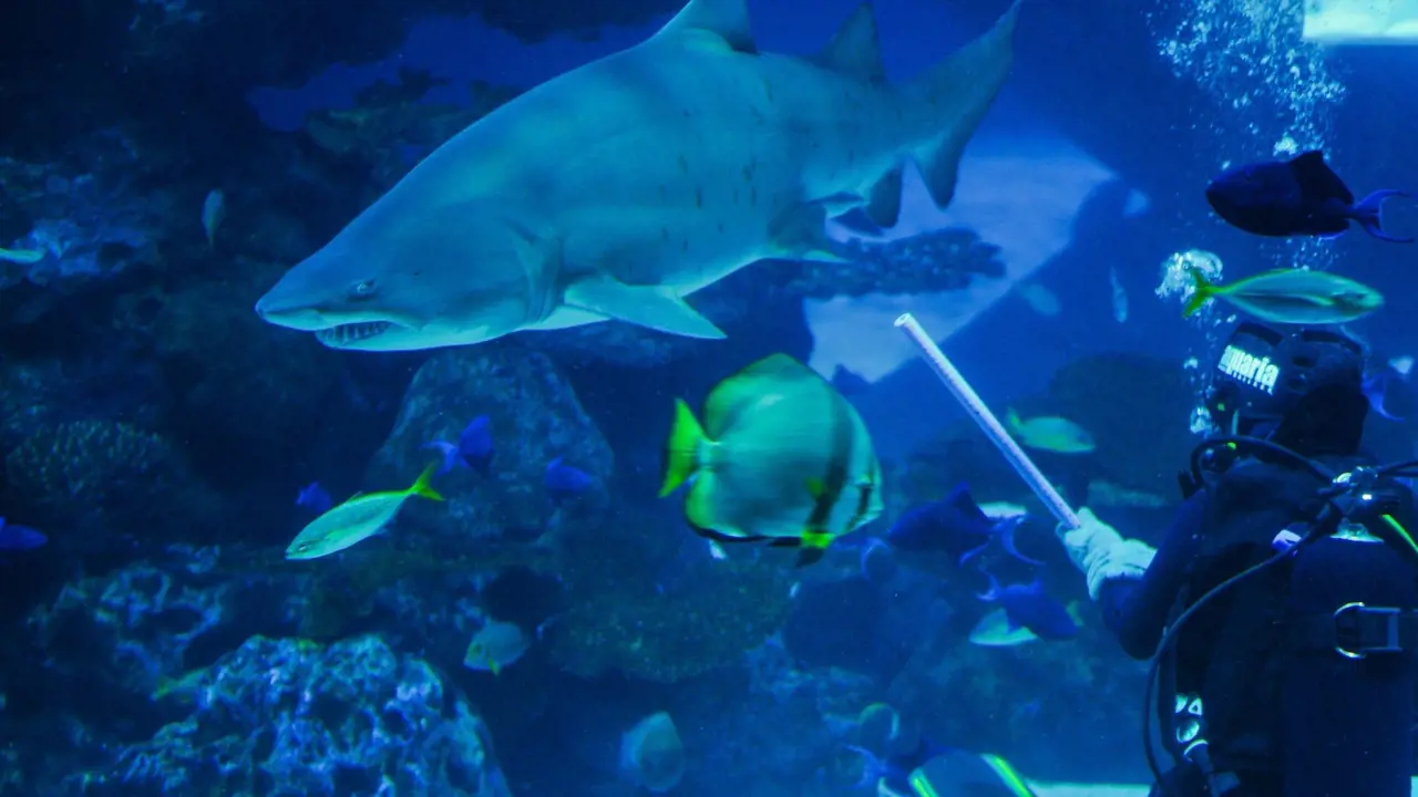 Aquaria Phuket - Photo 22