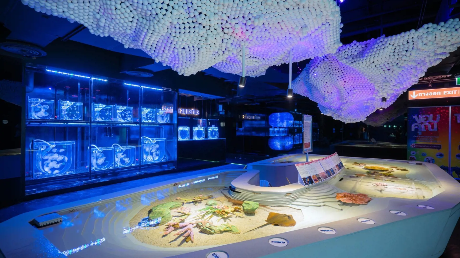 Aquaria Phuket - Photo 62
