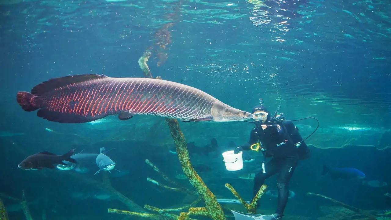 Aquaria Phuket - Photo 28
