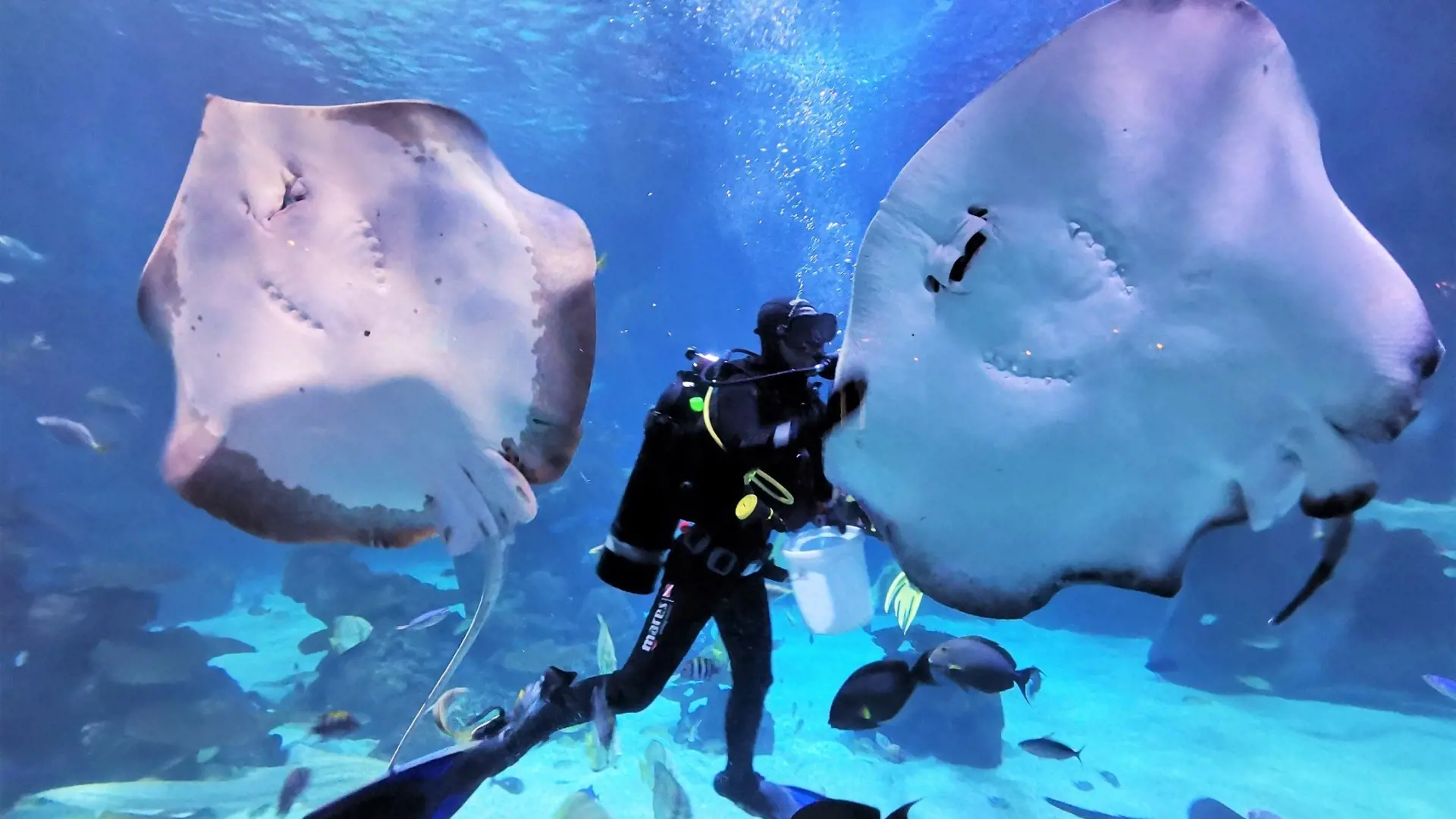 Aquaria Phuket - Photo 64