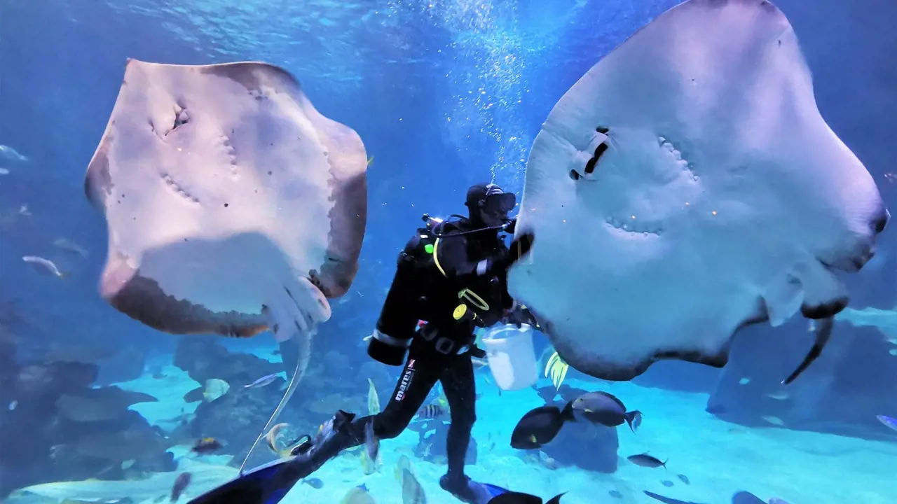 Aquaria Phuket - Photo 29