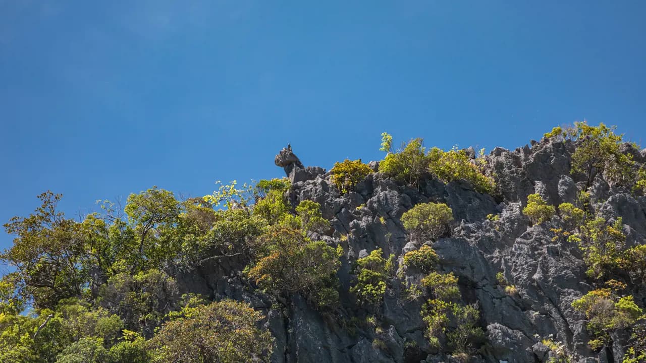 James Bond Island, Phang-Nga Bay, Hong Island, and Khai Island Tour from Phuket - Photo 5