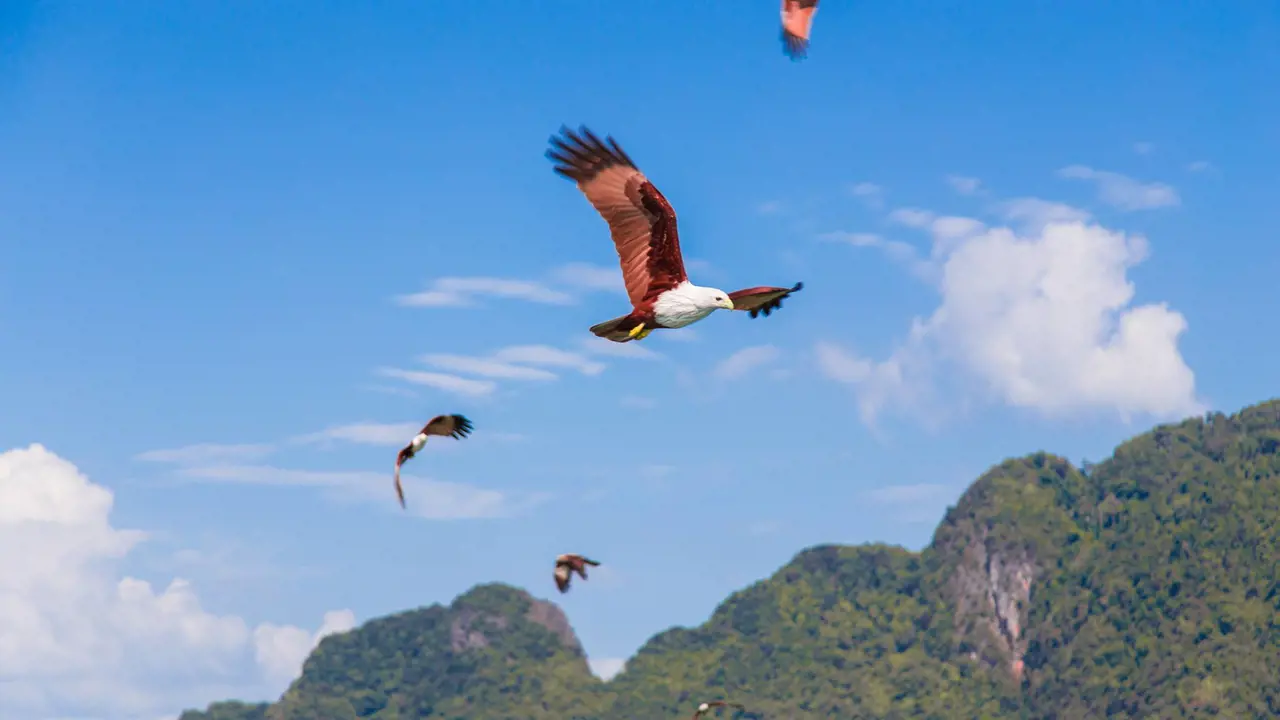 James Bond Island, Phang-Nga Bay, Hong Island, and Khai Island Tour from Phuket - Photo 6