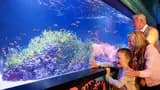 SEA LIFE London Aquarium Ticket - Photo 19