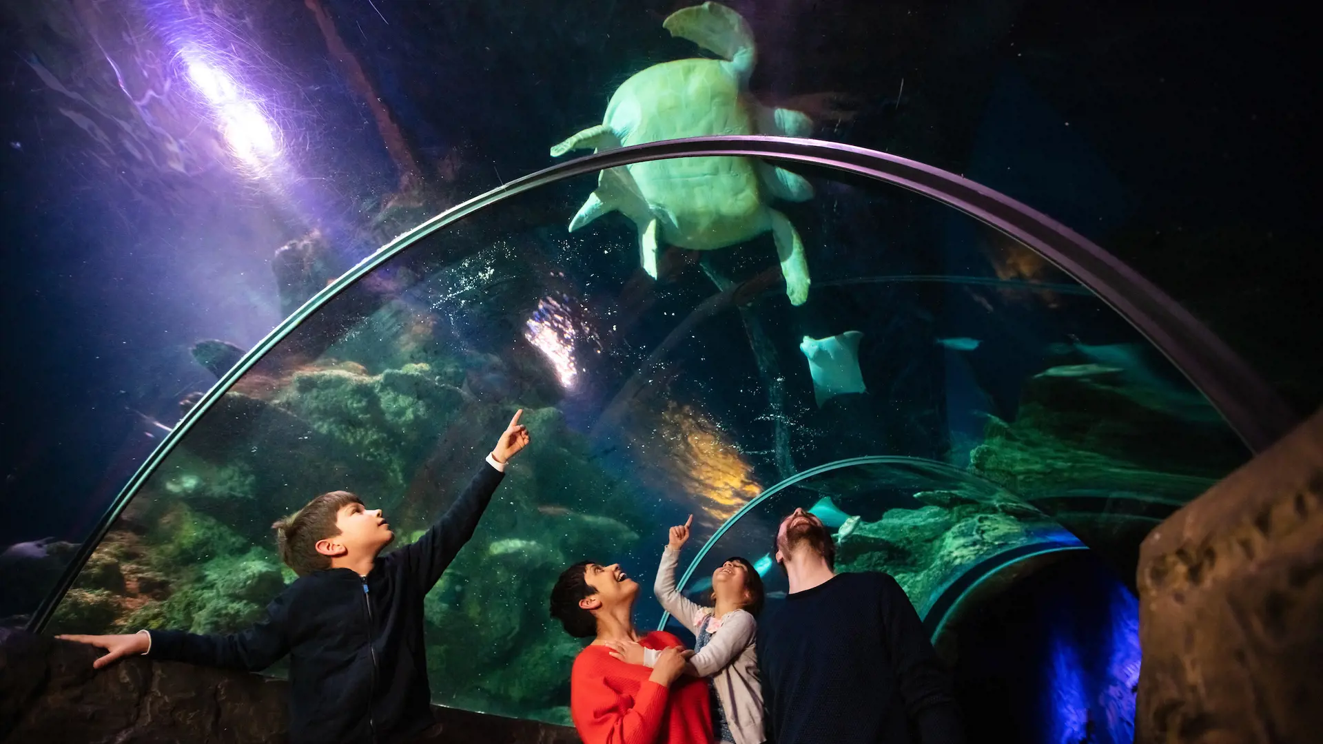 SEA LIFE London Aquarium Ticket - Photo 22