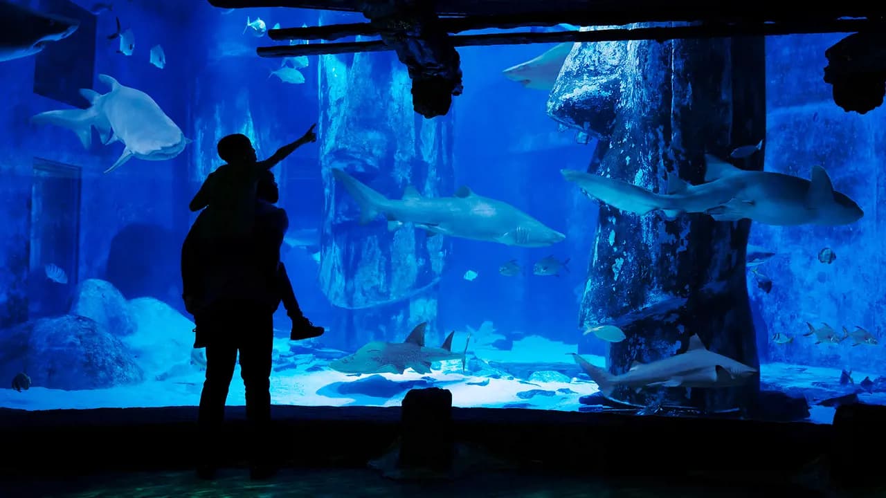SEA LIFE London Aquarium Ticket - Photo 3
