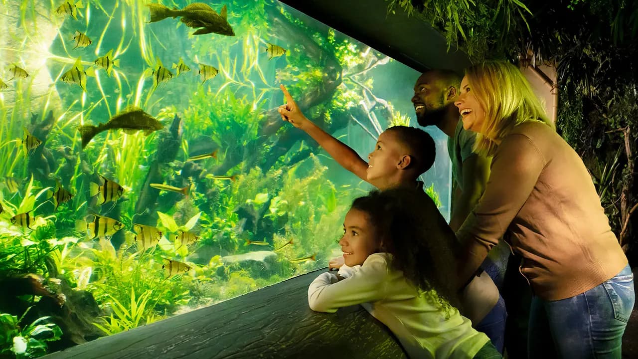 SEA LIFE London Aquarium Ticket - Photo 5