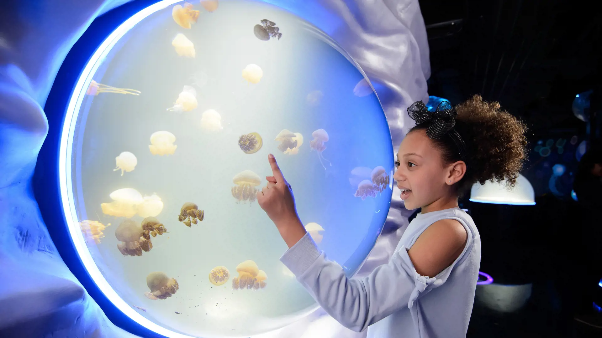SEA LIFE London Aquarium Ticket - Photo 27