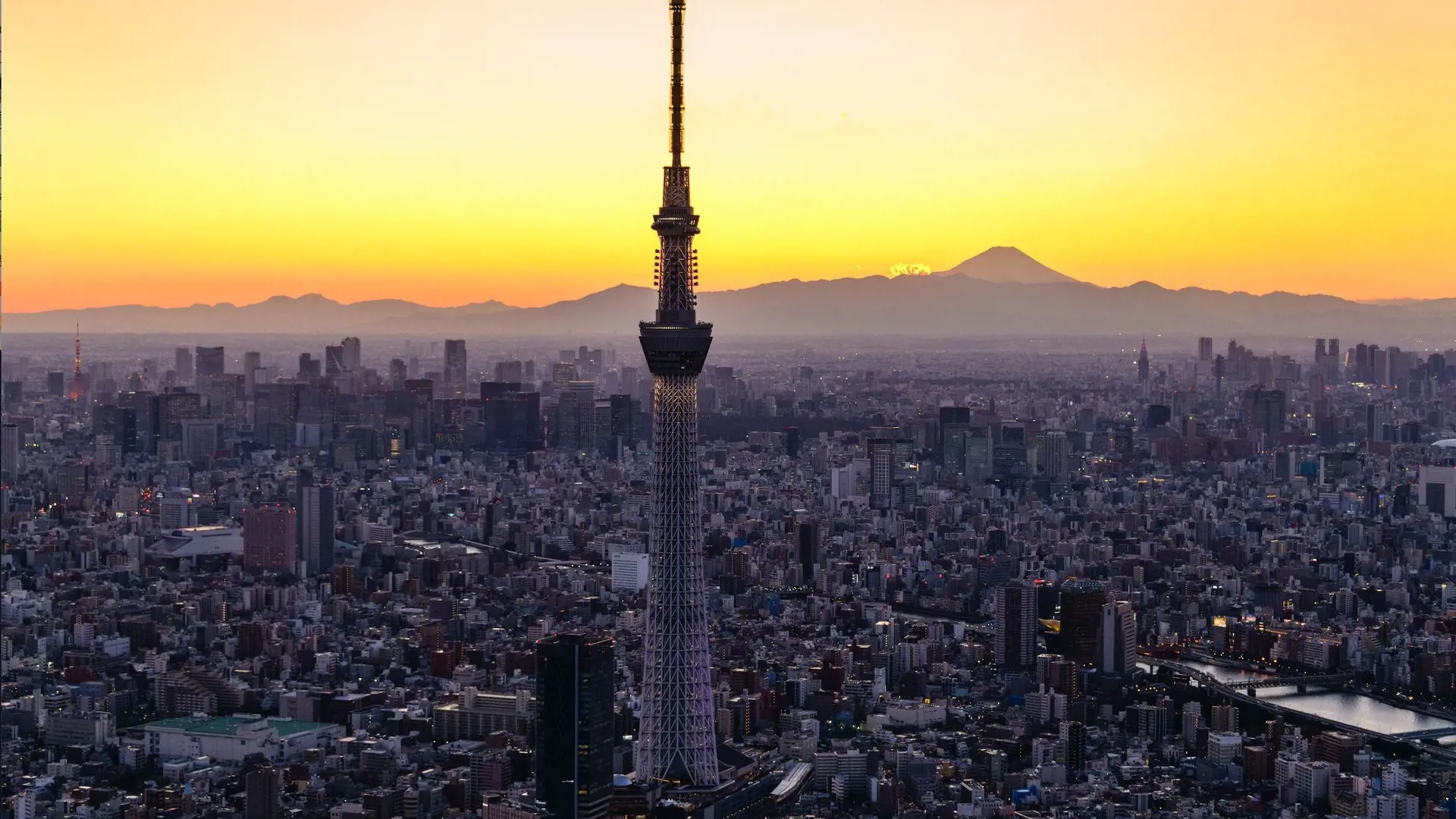 COMBO: Tokyo Skytree + teamLab Planets TOKYO Tickets - Photo 17