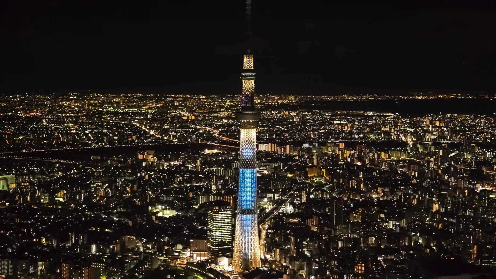 COMBO: Tokyo Skytree + teamLab Planets TOKYO Tickets - Photo 18