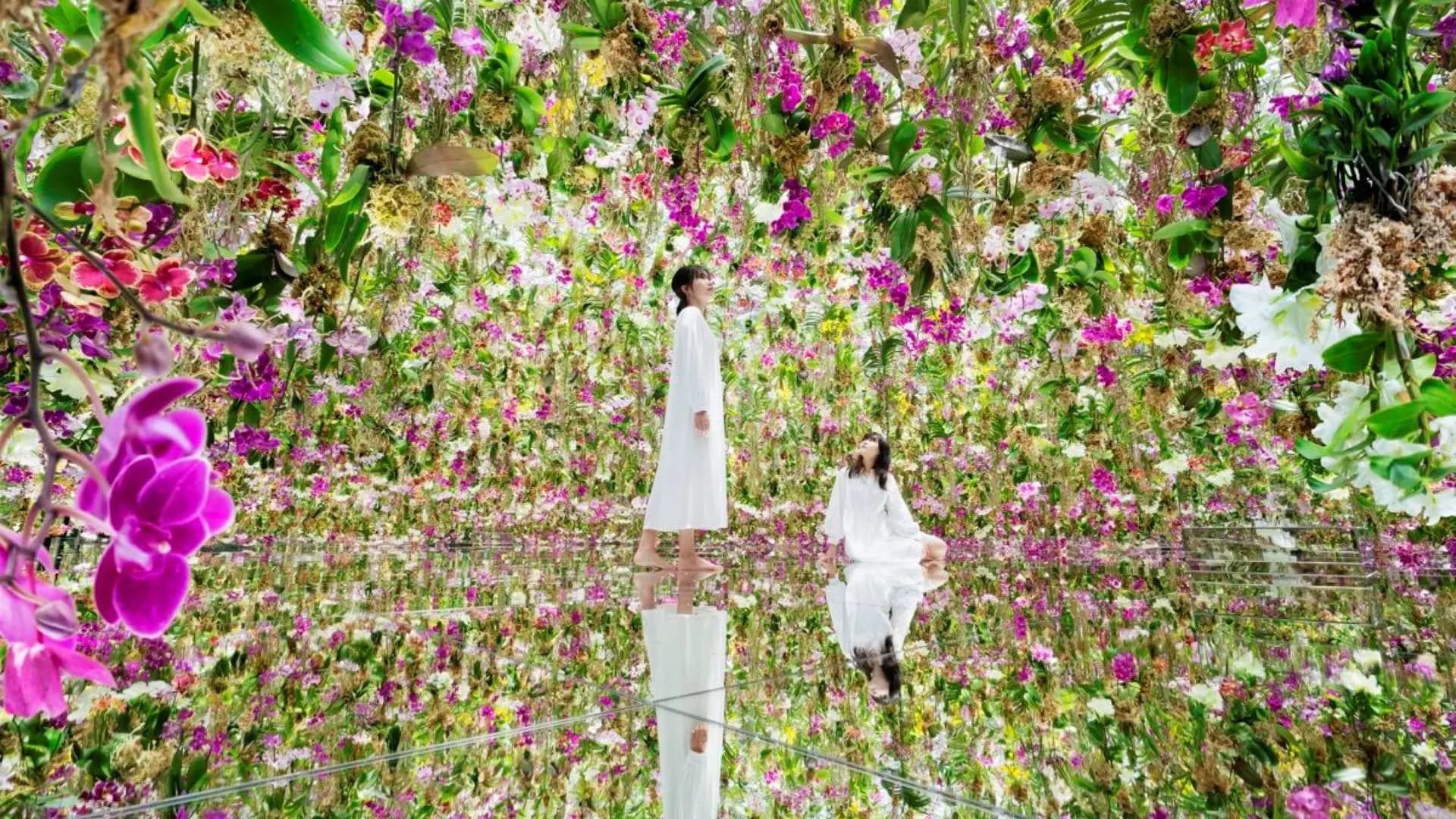 COMBO: Tokyo Skytree + teamLab Planets TOKYO Tickets - Photo 19